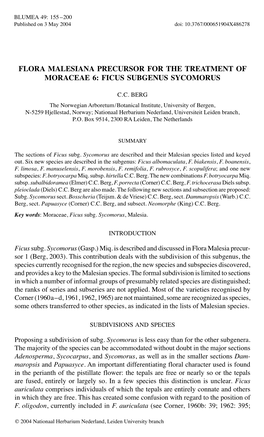 Flora Malesiana Precursor for the Treatment of Moraceae 6: Ficus Subgenus Sycomorus