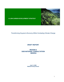 Transforming Guyana's Economy While Combating Climate Change