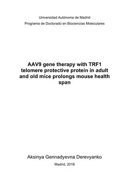AAV9 Gene Therapy with TRF1 Telomere Protective Protein in Adult and Old Mice Prolongs Mouse Health Span