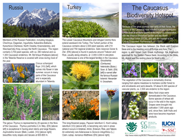 The Caucasus Biodiversity Hotspot