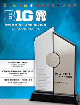 Big Ten Men's and Women's Swimming and Diving Championships