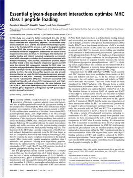 Essential Glycan-Dependent Interactions Optimize MHC Class I Peptide Loading