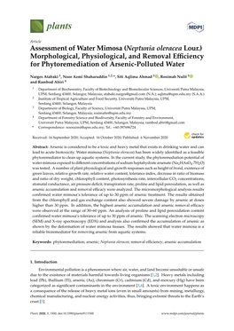 Assessment of Water Mimosa (Neptunia Oleracea Lour.) Morphological, Physiological, and Removal Eﬃciency for Phytoremediation of Arsenic-Polluted Water