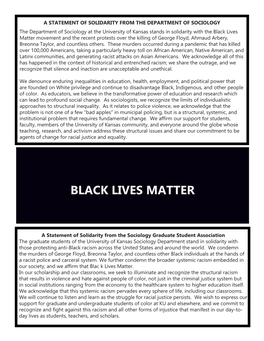 Black Lives Matter Movement and the Recent Protests Over the Killing of George Floyd, Ahmaud Arbery, Breonna Taylor, and Countless Others