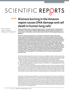 Biomass Burning in the Amazon Region Causes DNA Damage and Cell Death in Human Lung Cells