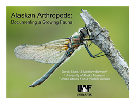Sikes-2013 AK Arthropods-Growing Fauna2