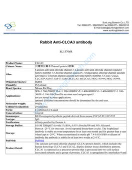 Rabbit Anti-CLCA3 Antibody-SL13706R