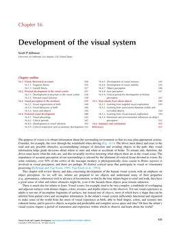 Neural Circuit and Cognitive Development