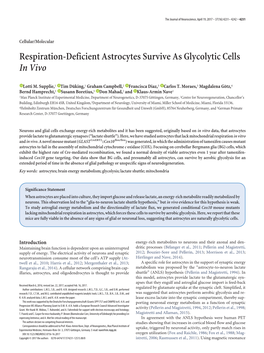 Respiration-Deficient Astrocytes Survive As Glycolytic Cells in Vivo