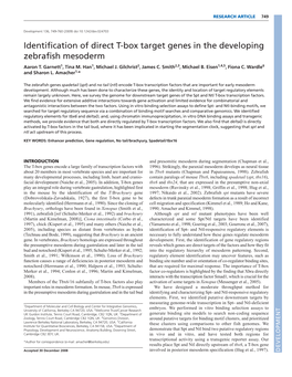 Identification of Direct T-Box Target Genes in the Developing Zebrafish Mesoderm Aaron T