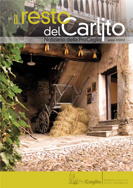 Il Resto Del Carlito 2009