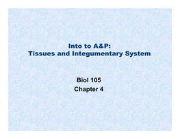 Tissues and Integumentary System Biol 105 Chapter 4