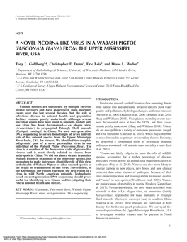 A Novel Picorna-Like Virus in a Wabash Pigtoe (Fusconaia Flava) from the Upper Mississippi River, Usa