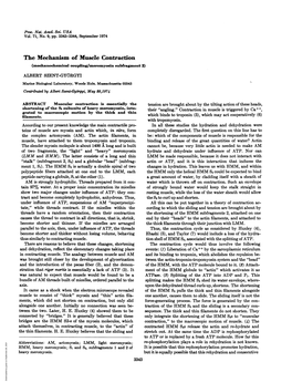 The Mechanism of Muscle Contraction