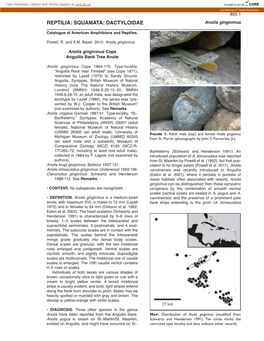 REPTILIA: SQUAMATA: DACTYLOIDAE Anolis Gingivinus