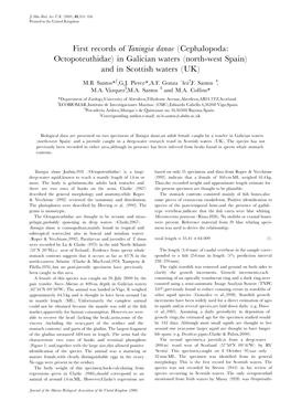 First Records of Taningia Danae (Cephalopoda: Octopoteuthidae) in Galician Waters (North-West Spain) and in Scottish Waters (U