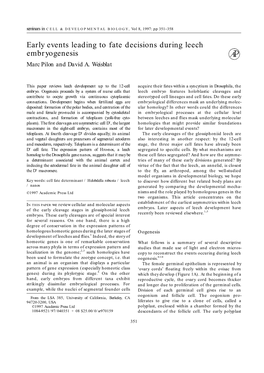 Early Events Leading to Fate Decisions During Leech Embryogenesis Marc Pilon and David A