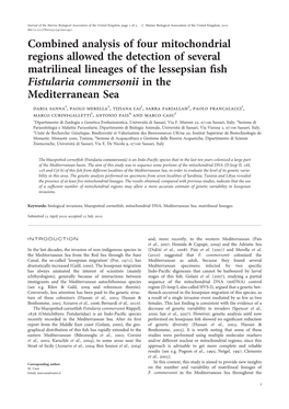 Combined Analysis of Four Mitochondrial Regions Allowed The