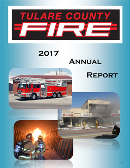 2017 Annual Report