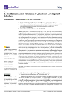 Redox Homeostasis in Pancreatic Β-Cells: from Development to Failure