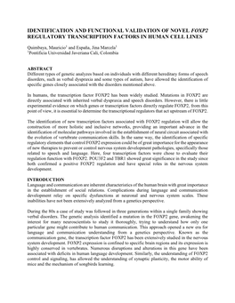 Identification and Functional Validation of Novel Foxp2 Regulatory Transcription Factors in Human Cell Lines