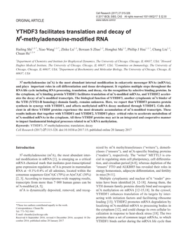 YTHDF3 Facilitates Translation and Decay of N6-Methyladenosine-Modified RNA