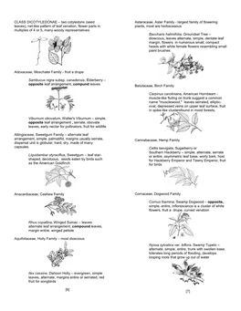 CLASS DICOTYLEDONAE – Two Cotyledons (Seed Leaves)