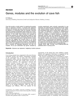 Genes, Modules and the Evolution of Cave Fish