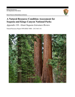 A Natural Resource Condition Assessment for Sequoia and Kings Canyon National Parks Appendix 11B - Giant Sequoia Literature Review