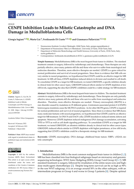 CENPE Inhibition Leads to Mitotic Catastrophe and DNA Damage in Medulloblastoma Cells