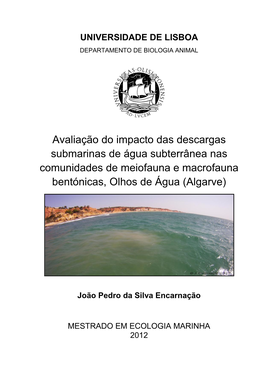 Avaliação Do Impacto Das Descargas Submarinas De Água Subterrânea Nas Comunidades De Meiofauna E Macrofauna Bentónicas, Olhos De Água (Algarve)