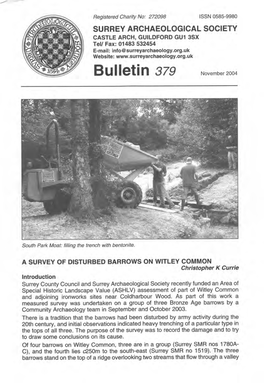 Bulletin 379 N O V E M B E R 2 0 0 4