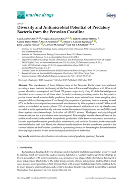 Diversity and Antimicrobial Potential of Predatory Bacteria from the Peruvian Coastline