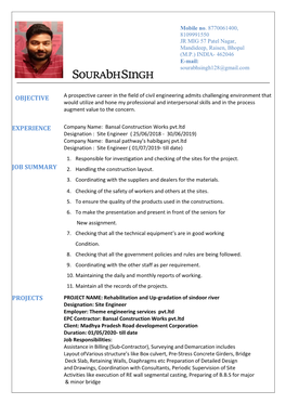 Professional Resume