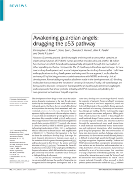 Awakening Guardian Angels: Drugging the P53 Pathway