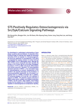 ST5 Positively Regulates Osteoclastogenesis Via Src/Syk/Calcium Signaling Pathways