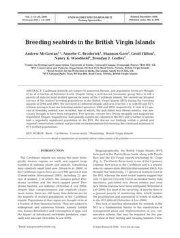 Breeding Seabirds in the British Virgin Islands