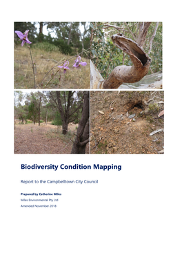 Biodiversity Condition Mapping