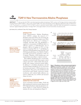 Promega Notes 95: TSAP: a New Thermosensitive Alkaline Phosphatase