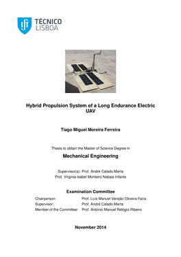 Hybrid Propulsion System of a Long Endurance Electric UAV
