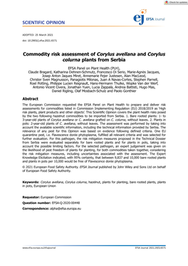 Commodity Risk Assessment of Corylus Avellana and Corylus Colurna Plants from Serbia