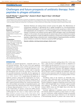 Challenges and Future Prospects of Antibiotic Therapy: from Peptides to Phages Utilization