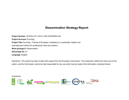 Dissemination Strategy Report.Docx