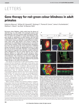 Gene Therapy for Red-Green Colour Blindness in Adult Primates