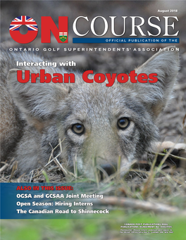 Urban Coyotes