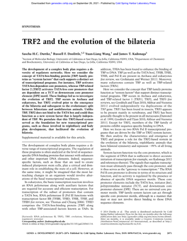 TRF2 and the Evolution of the Bilateria