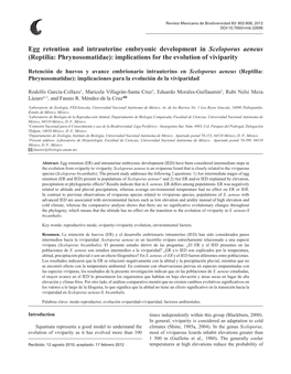 Egg Retention and Intrauterine Embryonic Development in Sceloporus Aeneus (Reptilia: Phrynosomatidae): Implications for the Evolution of Viviparity