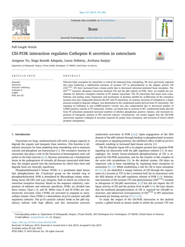 Cbl-PI3K Interaction Regulates Cathepsin K Secretion in Osteoclasts T ⁎ Jungeun Yu, Naga Suresh Adapala, Laura Doherty, Archana Sanjay