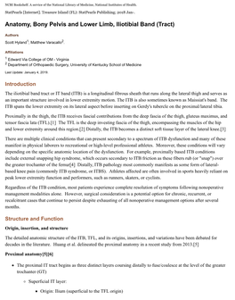 Anatomy, Bony Pelvis and Lower Limb, Iliotibial Band (Tract)