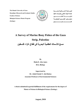 A Survey of Marine Bony Fishes of the Gaza Strip, Palestine